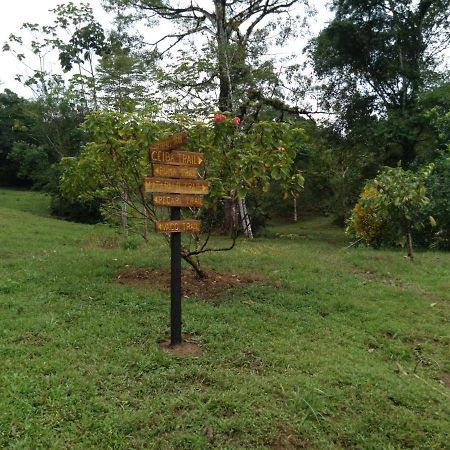Finca Sueno De Osa Puerto Jiménez Exterior photo