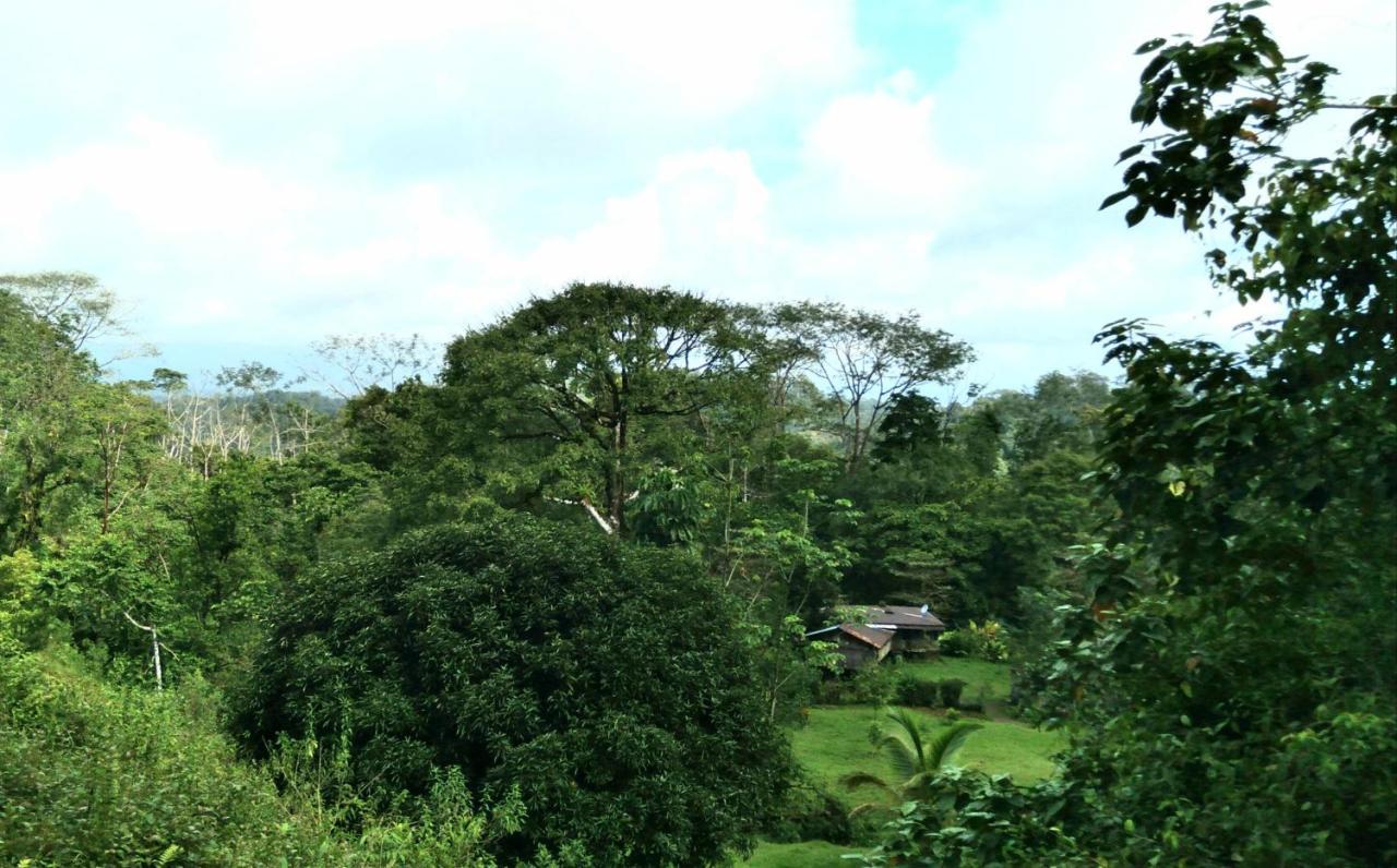 Finca Sueno De Osa Puerto Jiménez Exterior photo