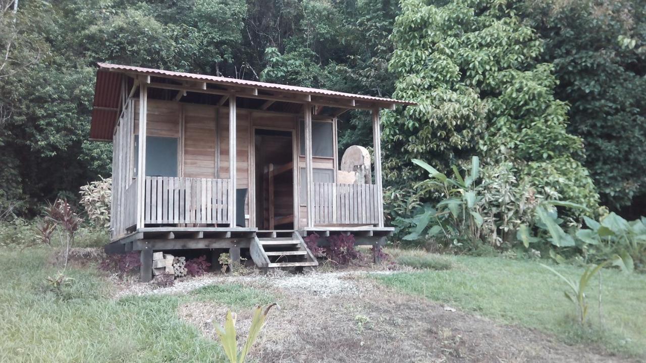 Finca Sueno De Osa Puerto Jiménez Exterior photo